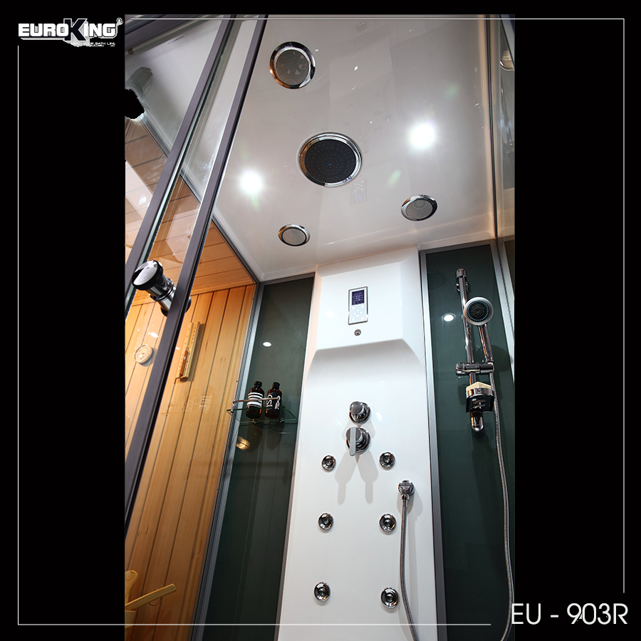 Sen và đèn trần  Phòng xông hơi Euroking EU-A903
